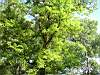 PICT0754.JPG