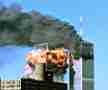wtc_50.jpg